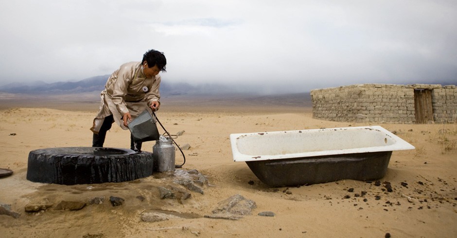 Polar bear research isn’t all high-tech. Here, the researchers team up to weigh a polar bear the old-fashioned way – with scales and a sling. A female may weigh 150–250 kg, while a male could weigh up to 700 kg.