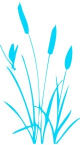 tx2